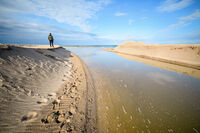 без име ( ID=2582547 ); Коментари:4