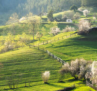 без име ( ID=2582571 ); Коментари:9