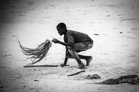 Момчето и октоподите; comments:4