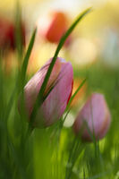 no name ( ID=2582653 ); comments:3