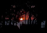 Рано сутрин; comments:2