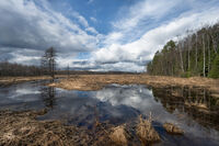 dtctyybq gfdjljr; Коментари:1