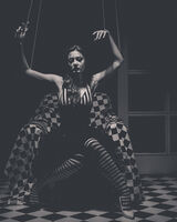 Shadow puppet; Коментари:4