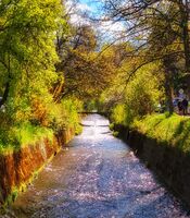 Пролет; No comments