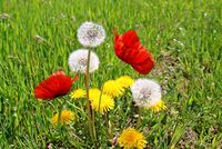 no name ( ID=2582760 ); comments:2