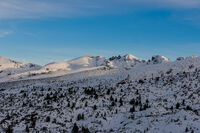 no name ( ID=2582762 ); comments:5