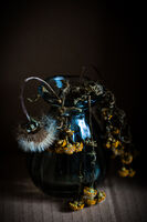 изгубени мечти; comments:6