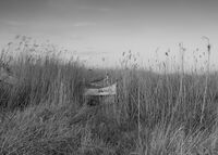 Някъде там; comments:3