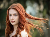 Вятър в медни нишки..; comments:5