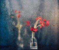 no name ( ID=2582807 ); comments:13