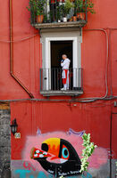 ...живот в рамка...; Коментари:4