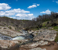Пролет в Здравчово дере; No comments