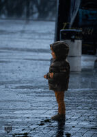 sunshine in the rain; No comments