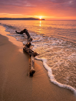 no name ( ID=2582879 ); comments:4