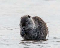 no name ( ID=2582885 ); No comments