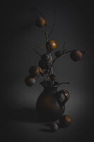 природа; comments:8