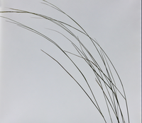 Абстракция; No comments