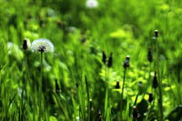 no name ( ID=2582925 ); No comments