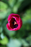 no name ( ID=2582926 ); No comments