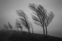 * * * * * *; Коментари:6