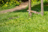 катеричка; Няма коментари