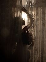 In the Evening Haze; Коментари:5