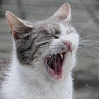 Настроение според времето; comments:5