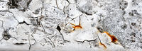 без име ( ID=2584661 ); Коментари:2