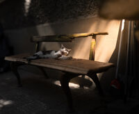 no name ( ID=2584762 ); comments:3