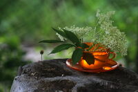 no name ( ID=2584864 ); comments:5