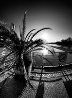 no name ( ID=2585036 ); comments:3