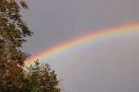без име ( ID=2585038 ); Коментари:1