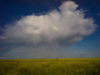 no name ( ID=2585046 ); comments:3