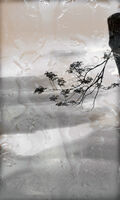 no name ( ID=2585073 ); comments:8
