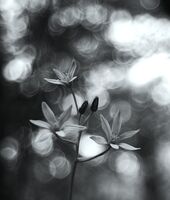 no name ( ID=2585107 ); comments:14