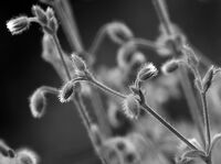 no name ( ID=2585133 ); comments:6