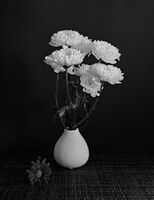 no name ( ID=2585151 ); comments:12