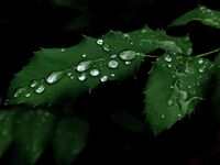 no name ( ID=2585204 ); comments:3