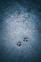 no name ( ID=2585497 ); comments:4