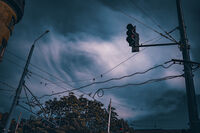 Градски ноти; comments:4