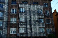 без име ( ID=2585512 ); Няма коментари