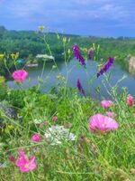 без име ( ID=2586224 ); Коментари:3