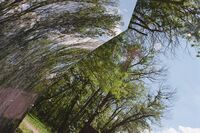 без име ( ID=2586736 ); Няма коментари