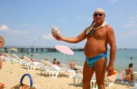 Най-хубавите раковини, морските таралежи...; Коментари:1