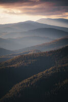 no name ( ID=2588113 ); comments:5