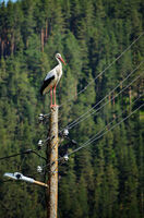 no name ( ID=2589351 ); comments:3