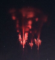 Red sprite..; comments:5