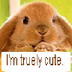 iiiiiii 