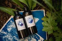 Реактиви за Цианотипия 2 x 200 мл, достатъчен за 100 листа А4