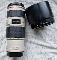 Canon EF 70-200 f/4L IS USM - чудесна опция и за Eos R серията